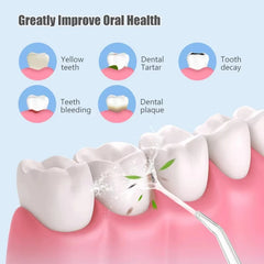Diagram showing dental care benefits with text 'Greatly Improve Oral Health' and icons for yellow teeth, dental tartar, tooth decay, teeth bleeding, and dental plaque.