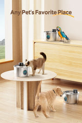 Two dogs and a parrot interacting with pet water and food bowls on a wooden floor.