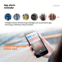 Tuya 2.4G WiFi Gas Alarm Sensor