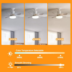 Ceiling fan with light display in three color temperature settings on an orange background.