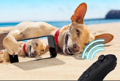 Dog lying on a beach with a smartphone showing a video of another dog, with a remote control in the foreground.