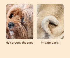 Dog with close-up of hair around eyes and private parts on a beige background