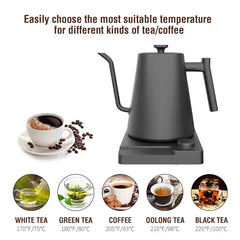 1200W Gooseneck Electric Kettle with Temp Control
