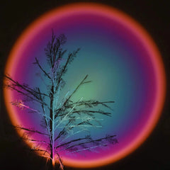 Tree silhouette against a colorful circular gradient background