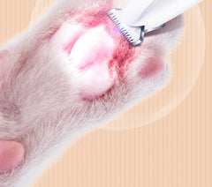 Close-up of a cat's paw being examined with a tool on a light background