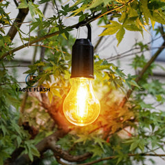Light bulb hanging from a tree branch with 'Eagle Flash' branding.