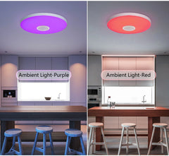 Smart MARPOU RGB Ceiling Light