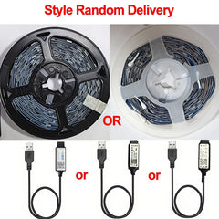 LED strip lights with USB cables on a white background, featuring 'Style Random Delivery' text.