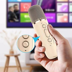 K12 Portable Bluetooth Karaoke Machine with Wireless Microphones