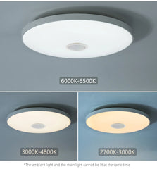 Smart MARPOU RGB Ceiling Light