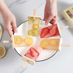 DIY Ice Cream Popsicle Mold Set