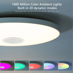 Smart MARPOU RGB Ceiling Light