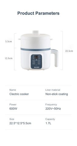 Electric cooker with product parameters on a white background