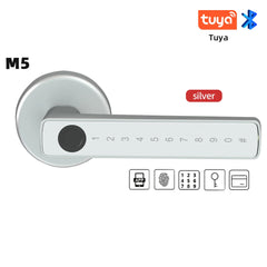 RAYKUBE M5 Smart Fingerprint Door Lock