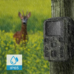 Suntekcam Hunting Trail Wildlife Camera