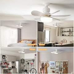 Ceiling fan in various rooms including a bedroom, kitchen, garage, and workshop.