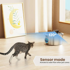 Cat walking towards a pet fountain with a sensor mode feature in a room.